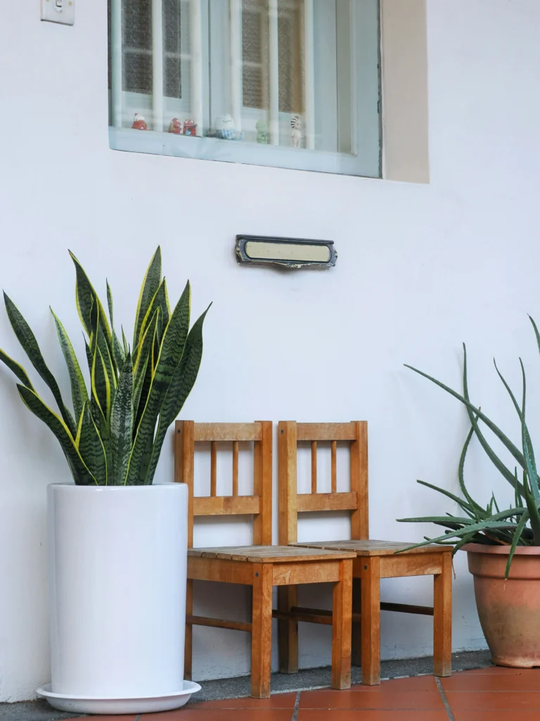 vaso decoração